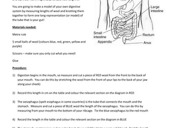 AQA KS3 YEAR 8 BIOLOGY - ORGANISMS