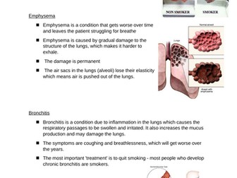 Smoking and Disease fact sheet