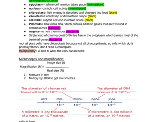 Biology edexcel Gcse