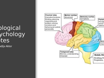 Past papers edexcel picture