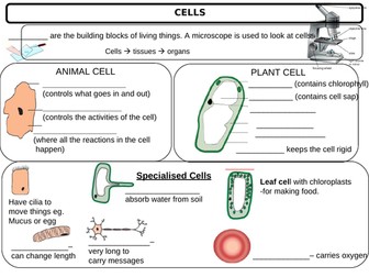 Year 7 Revision slides with pupil's blank version