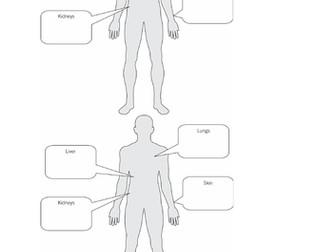 B12.2 Removing Waste Products