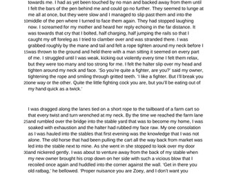 Paper 1 Question 4 Planning Sheet, Model Paragraph, War Horse Extract (GCSE AQA English Language)