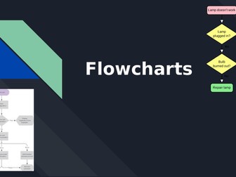 Flowcharts Lesson