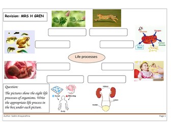 Free Biology worksheet; 8 Life processes