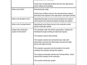 Alevel PE Applied anatomy and physiology