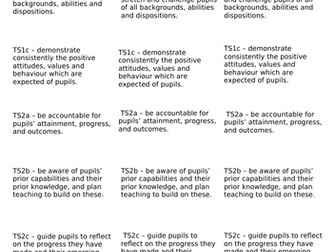 Teachers'  Standards evidence labels