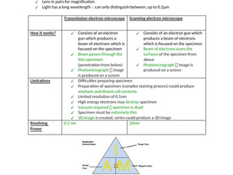 AQA Biology Section 2 notes