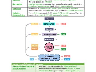 AQA Biology section 5 notes