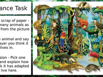 Lesson 5 - Animal Adaptations in the Tropical Rainforest