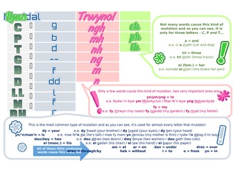 Mutations Sheet - Taflen Treigliadau