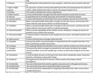 GCSE Psychology  - The Brain and Neuropsychology Unit - Knowledge Organiser/ Key terms list/Glossary