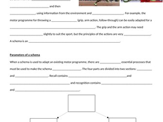 AQA A Level PE - Schema Theory