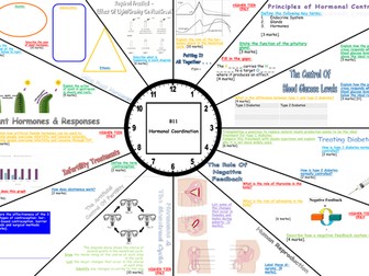 Revision Clock for AQA Trilogy Biology Hormonal Coordination Topic Inc. Separate Science Content