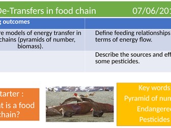 7De- transfers in food chain
