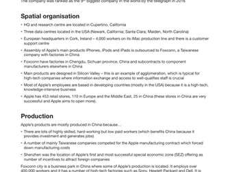 Apple Inc. case study