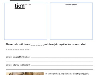 Internal and external fertilisation