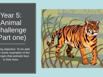 Design a game -animals