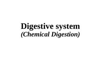 Human digestive system (Chemical digestion)