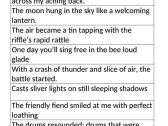 Linguistic Devices Card Sort/ Matching Activity