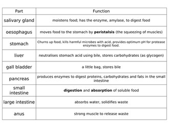 Digestive system card sort