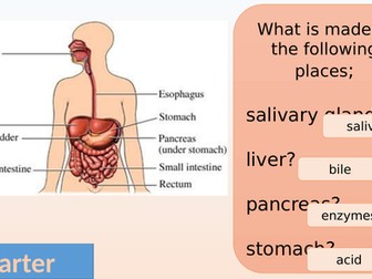 Required Practical Investigate the effect of pH on the rate of reaction of amylase enzyme