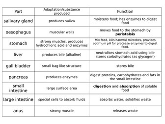 GCSE Digestive System card sort