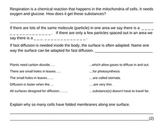 Diffusion worksheet