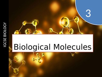 IGCSE biological Molecules