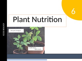 IGCSE Plant Nutrition
