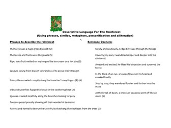 A mat to describe the rainforest