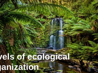Levels of ecological organization