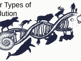 Four types of Evolution