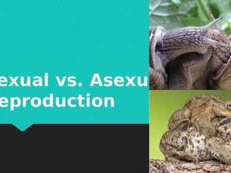 Asexual vs Sexual Reproduction
