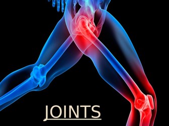 Human Joints
