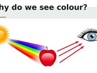 Why do we see colour