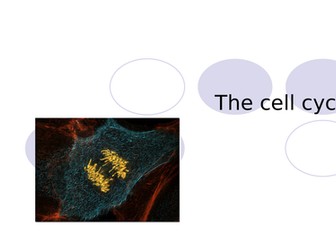 Cell Cycle (Mitosis) NEW AQA  9-1 GCSE Full Lesson