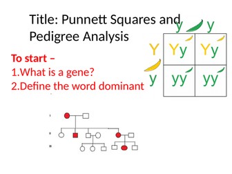 Punnett Squares and Pedigree Analysis