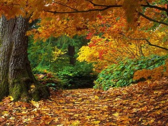 Edexcel Time and Place poetry revision cards