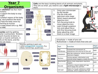 Year 7 Biology revision pack