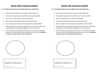 Microscopes and Magnification (Required Practical)