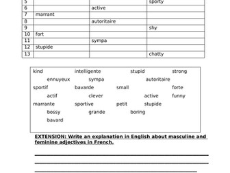 French adjectives (describing friends)