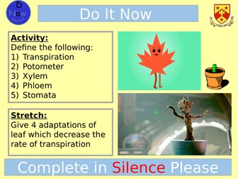 Fish Dissection Lesson AQA Alevel