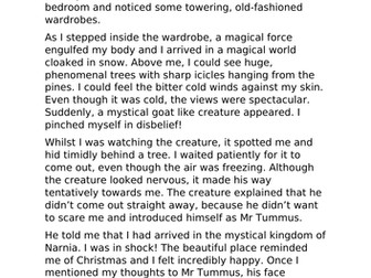 Narnia Diary Extract