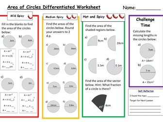 Area of Circles Differentiated Worksheet with Answers