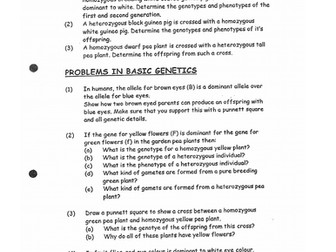 Monogenic Mendelian Inheritance - Punnett Squares