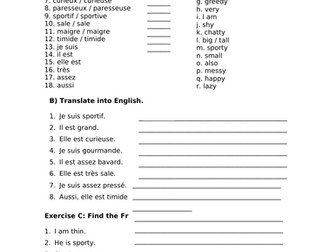 French adjectives worksheet and wordsearch  KS3