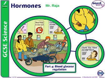 GCSE - Hormones Pt.4 - Blood Glucose Regulation