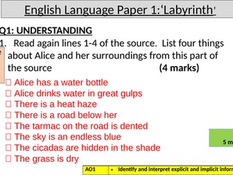 English Language GCSE Paper 1 November 2017: tips, skills and example answers