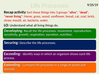 Exploring Science 7A- Cells, Tissues, Organs and Systems